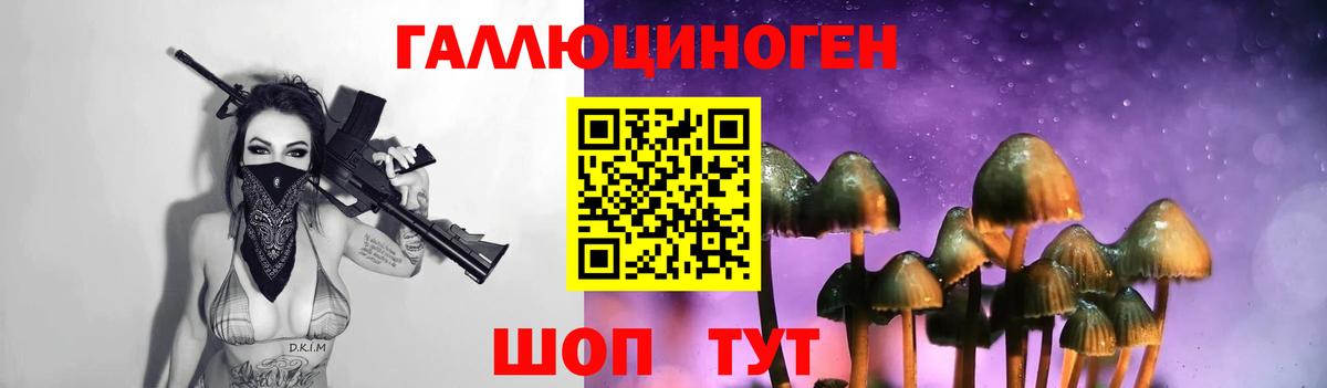 Галлюциногенные грибы MAGIC MUSHROOMS  Вход с VPN  Мурманск 